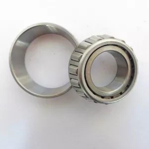 45 mm x 100 mm x 25 mm  FAG NU309-E-TVP2  Cylindrical Roller Bearings #1 image